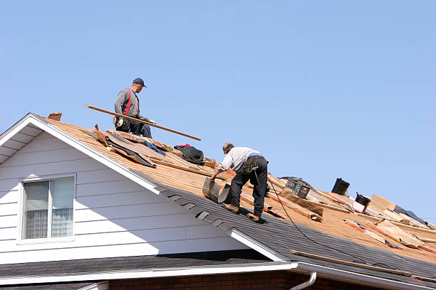 Best Sheet Metal Roofing  in South Wallins, KY