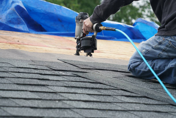 Best Roof Moss and Algae Removal  in South Wallins, KY